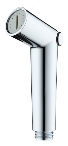 pp